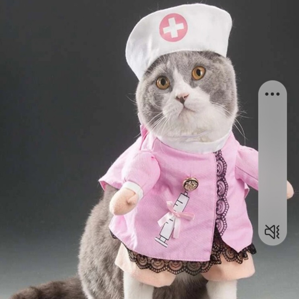 Pet custom